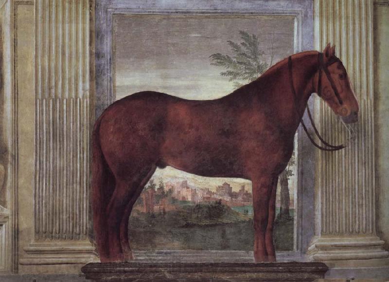 Giulio Romano Drawing-rooms dei Cavalli Spain oil painting art